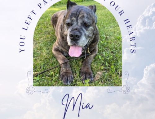 Mia