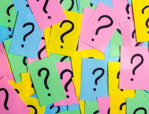 Questions to Ask a Pet Insurance Company