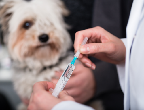 Vaccines and Reactions