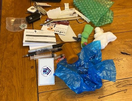 Every Item Tells A Story, But What is the Lesson?